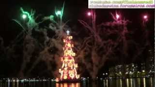 Inauguração da Árvore de Natal da Lagoa Rodrigo de Freitas 01122012 Full HD 1080P [upl. by Einhoj726]