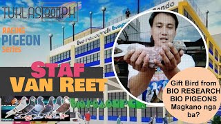 HIstory of Staf Van Reet  Racing Pigeon Series ft Bio Pigeons  Gift Bird alamin kung magkano [upl. by Yoshio242]