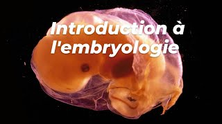 INTRODUCTION A LEMBRYOLOGIE [upl. by Jenkins]