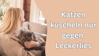 Jeder kann sich mal daneben benehmen katzen lustigekatzenvideos katzenvideos [upl. by Leroi]