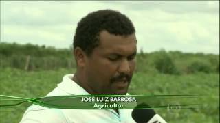 AGRICULTORES DE ARAPIRACA [upl. by Aihsirt]