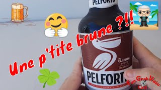 🍺 Présentation amp Dégustation Biére Pelforth Brune [upl. by Ahsied]