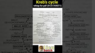 krebs cycle notes pdf in Hindi bsc 2nd year zoology knowledge adda lion batch [upl. by Martina]