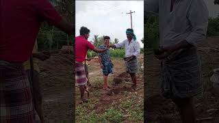 வாழை கன்று நடலாம் வாங்க Valai Kandru nadalam Time with anand youtubeshorts shorts [upl. by Elsy]