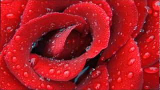 Sharon Forrester  Red Rose Radio Mixwmv [upl. by Calva]