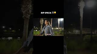 RIP Speck 🪦😞 [upl. by Rebak]