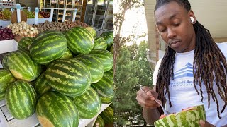 ALKALINE PROTEIN The Healing Power Of Watermelon 🍉  Dr Sebi Approved [upl. by Artinad80]