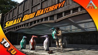 SMALL DINO HATCHERY MASS KAIRUKU HATCHING AND MUTATIONS Ark Survival Evolved Zoo [upl. by Rust738]