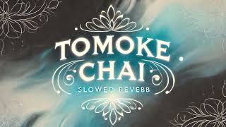 TOMAKE CHAI  TITLE TRACK  SLOWED REVERB  ARIJIT SINGH [upl. by Aznerol]