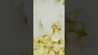 Foxtail Millet Idli Healthy Breakfast Recipe shorts foxtailmillet idli milletidli millet [upl. by Maibach688]