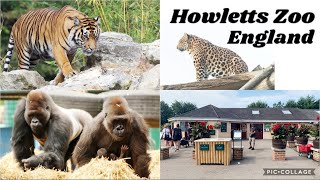 Visit Howletts Wild Animal Park  Howletts Wild Animal Park Canterbury Kent England  Day out [upl. by Ydaf]