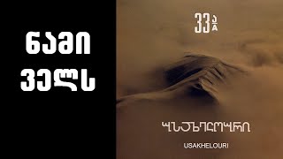 ნიაზ დიასამიძე amp 33ა  ნამი ველს  Niaz Diasamidze amp 33A  Nami Vels [upl. by Mcgrody]