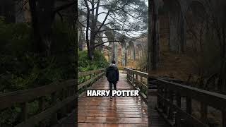 Part 9  Would you visit the Harry Potter Bridge travel placestovisit scotland [upl. by Udelle]