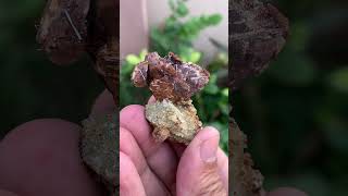 Sagenite combine on siderite dubanigems gemstones [upl. by Mcgrody]