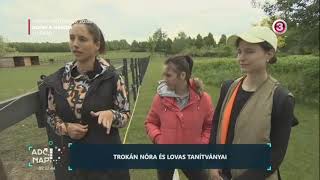 Adom a napom – Trokán Nóra lovas tanítványaival kezdte a reggelt 1 [upl. by Zawde]