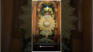 Tuzo Hanv Mog Karta Jezu Konkani Devotional Song  Holy Adoration  Whatsapp Status  Mr Songs [upl. by Nidnal87]