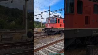 SBB Güterzug und SBahn beim Bahnhof KillwangenSpreitenbach [upl. by Dnomrej]