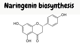 Biosynthesis of naringenin  mechanisms [upl. by Yleoj253]