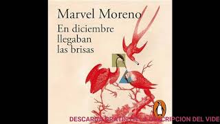 En diciembre llegaban las brisasaudiolibroMarvel Moreno [upl. by Esorrebma]