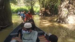 Ratargul swamp forest Sylhet One day at ratargul everything details in raw video [upl. by Wynny]