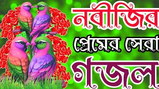 নবীজির প্রেমে সেরা গজল খুবই সুন্দর মদিনার প্রেমে গজল বাংলা গজল। Bangla New Gazal Gojol New Bangla [upl. by Nevad329]