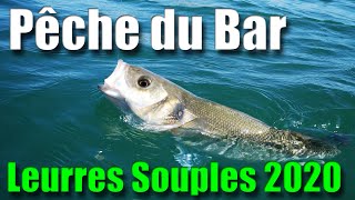 PECHE du BAR en 2020  Découvrez mes LEURRES souples [upl. by Vasos244]