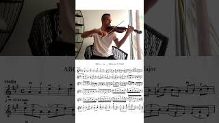 Brilliant Violin Variations on the Mexican Classic quotLa Estrellitaquot [upl. by Drageruaeb]