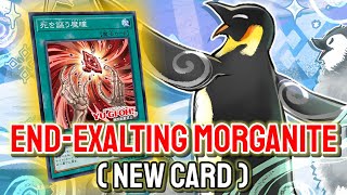 New Morganite Card YGOPRO  EndExalting Morganite  Floowandereeze Jun2024  New Card [upl. by Feodora]