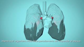 OMS Respira la Vida  Cómo la contaminación del aire afecta a tu cuerpo [upl. by Attener]