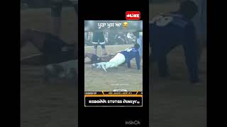 ਪੂਰਾ ਖੁਸ ਆ 😂 kabaddi kabaddilive kabaddilover funny viralshorts duet [upl. by Laris]