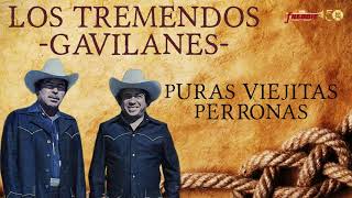 Los Tremendos Gavilanes  Puras Viejitas Perronas [upl. by Acireh]