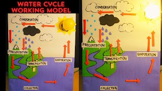 Water Cycle Model  Science Exhibition Model  water cycle project  Exhibition model for school [upl. by Siugram]