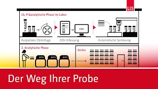 Eine Probe im Labor – einfach erklärt von der Blutabnahme bis zum Ergebnis [upl. by Adiahs]