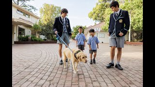 Pastoral Care at Camberwell Grammar School [upl. by Leland]