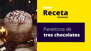 Panettone italiano la receta original [upl. by Hameean]