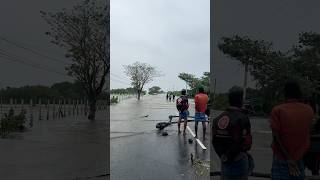 Batticaloa Trincomalee Road 🇱🇰 Srilanka Flood flood [upl. by Ahtamas]