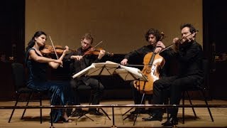 BELCEA QUARTET  Beethoven The Complete String Quartets [upl. by Anitsirc]