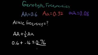 How to calculate the allele frequency given a genotype frequency [upl. by Anoirtac]