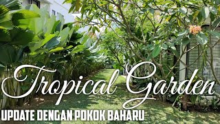 TAMAN TROPIKA Update Pokokpokok Baharu  Tropical Garden Update With New Plants [upl. by Demetre899]