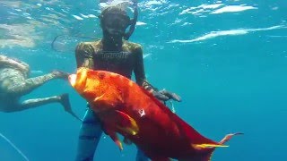 Spearfishing Australia  Getting Sandy [upl. by Noreg322]