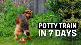 How to Potty Train your German Shepherd Puppy in 7 Days [upl. by Ahsirtal]