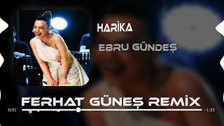 Ebru Gündeş  Harika  Ferhat Güneş Remix [upl. by Kaiulani242]