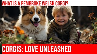 The Fascinating History of Pembroke Welsh Corgis in Wales [upl. by Randie]