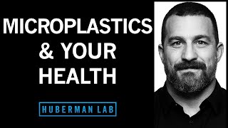 The Effects of Microplastics on Your Health amp How to Reduce Them [upl. by Bohi]