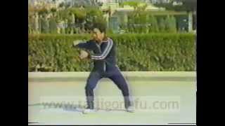 Chen Zhaokui Taiji Quan Student Zhang Jianqun Yilu 2 [upl. by Odrareg]