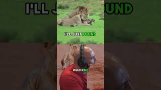 Why Tigers Rule The Wild jre jreclips animalshorts [upl. by Anauqat]