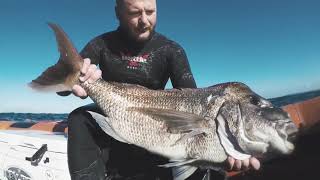 Techniques For Spearfishing Snapper  HOW TO SPEARFISH [upl. by Valry715]