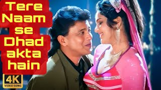 दिल तेरे नाम से  Dil Tere Naam Se  Kumar Sanu Kavita  Mithun ChakrabortyGautamiadmi [upl. by Niawat372]