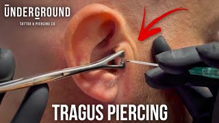 How To Get A Tragus Piercing 🔥 Cool Ear Piercing undergroundbodypiercing [upl. by Nivalc]