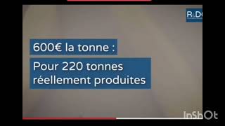 les bananes fantômes subventionnées de la Martinique et Guadeloupe [upl. by Eudoca198]